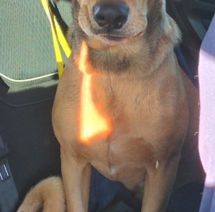 Milo